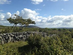 Quinn's Craftshop logo