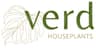 Verd Houseplants - Cork City Centre