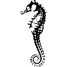 Seafield Hotel & Spa Resort logo