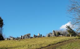 Shanballyedmond Megalithic Tomb logo