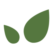 All Ireland Foods logo