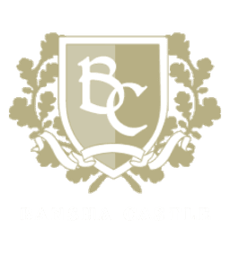 Bansha Castle logo
