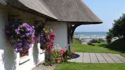The Cottages Ireland logo