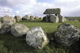 Carrowmore Megalithic Cemetery logo