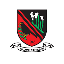 St. Kevin's GAA logo
