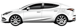 IZAL HYBRID logo