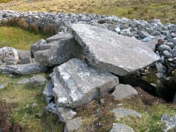 Cloghanmore Megalithic Tomb logo