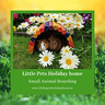 Little Pets Holiday Home Small Animal Boarding
