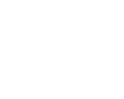 DW Precision Carpentry logo