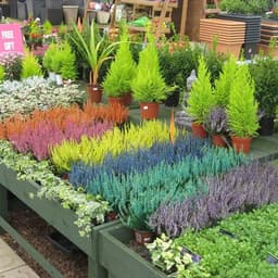 Altnagelvin Garden Centre logo