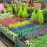 Altnagelvin Garden Centre