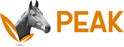 Peak Horse logo