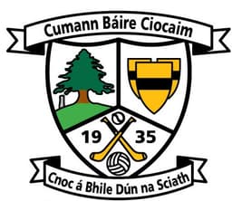 Knockavilla Donaskeigh Kickhams GAA Club logo