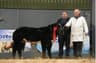 Irish Limousin Cattle Society, Kilglass, Mitchelstown, Co. Cork