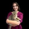 Just Cats @ Village Vets Clonsilla
