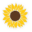 Pro Consult Counselling & Psychotherapy logo