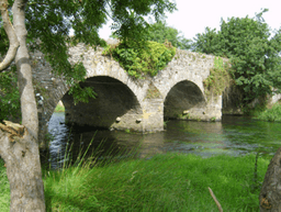 Doran's Bridge logo