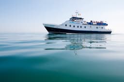 Dublin Bay Cruises logo