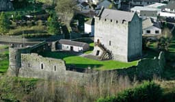 Athenry Castle logo