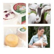 Ardsallagh Farmhouse Cheese logo