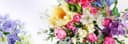 Balla Florists Studio