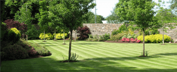 Fairybush Landscaping Ltd logo