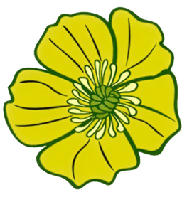 Ballyheane Buttercups Community Childcare Service logo