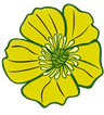 Ballyheane Buttercups Community Childcare Service