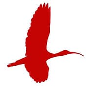 Ibis Construction logo