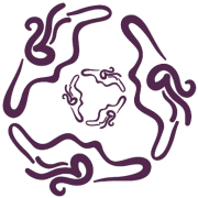 Women's Centre Derry logo