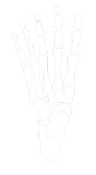 North West Foot and Ankle