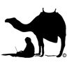 NOMAD | Graphic Design | Web Design & Development