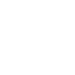Project Arts Centre🎠logo