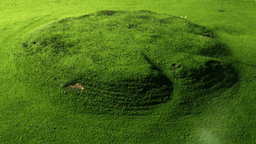The Mucklaghs logo
