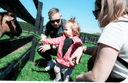 Caragh Open Farm