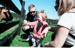 Caragh Open Farm logo