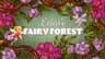 Erica's Fairy Forest