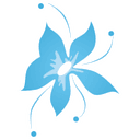 Forget Me Not Flowers & Gifts