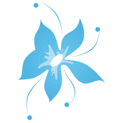 Forget Me Not Flowers & Gifts logo