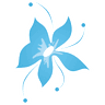 Forget Me Not Flowers & Gifts