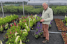 Bill Madden Nursery
