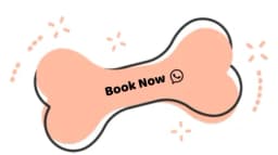 Zoomies Dog Grooming & Daycare logo