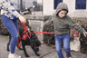Autism Assistance Dogs Ireland