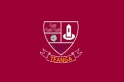 Tang GAA logo