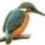 Kilbawn Country House logo