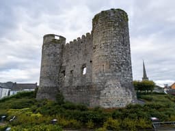 Carlow Castle logo