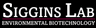 Siggins Lab