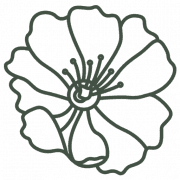 Amelia's Garden Flowers logo