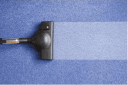 Sandyford Carpet Cleaning logo