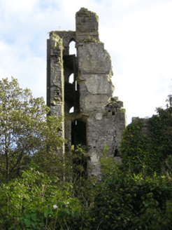 Plassey Mills Ruins logo